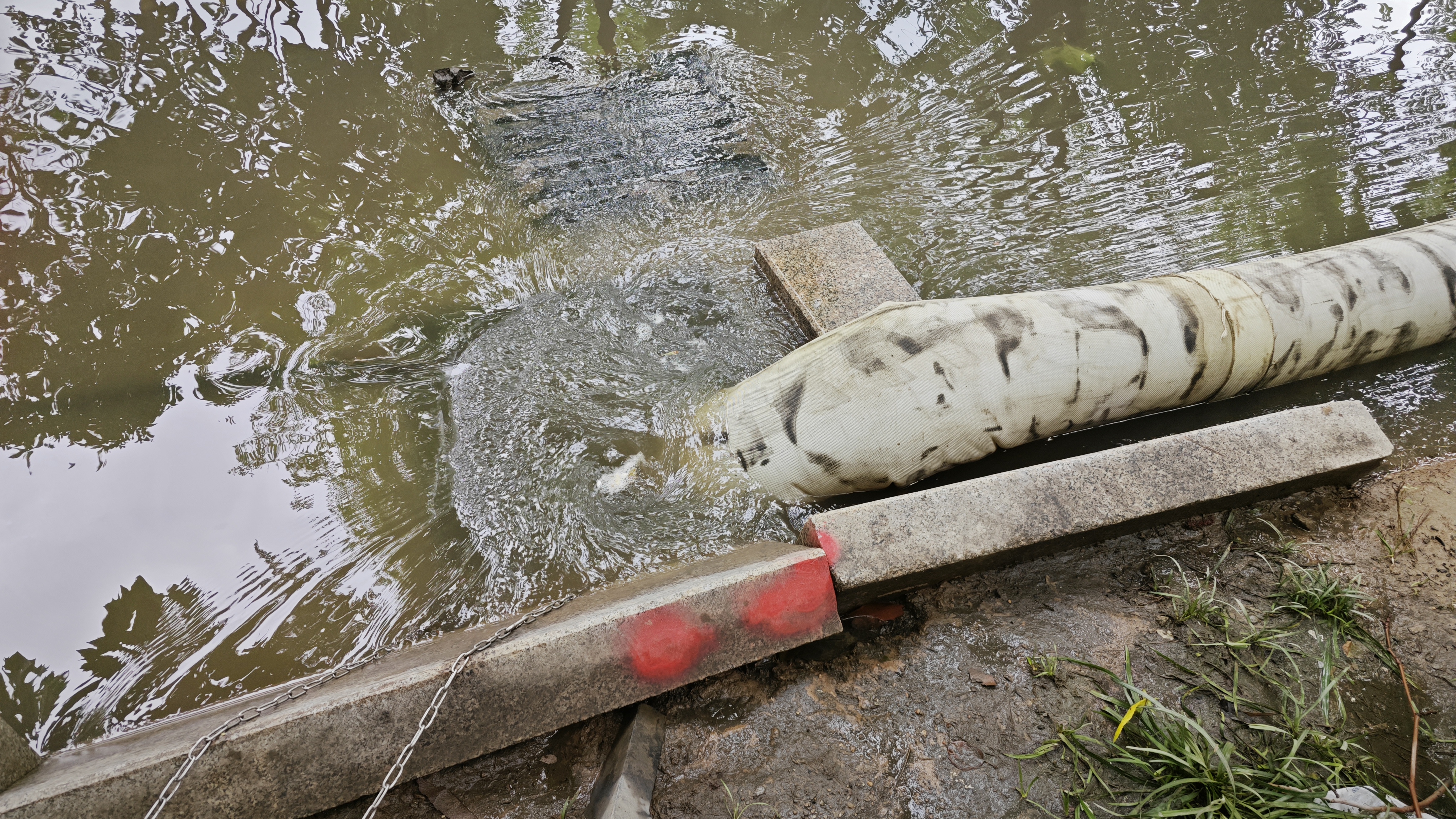 威尼斯9499登录入口(中国)有限公司官网